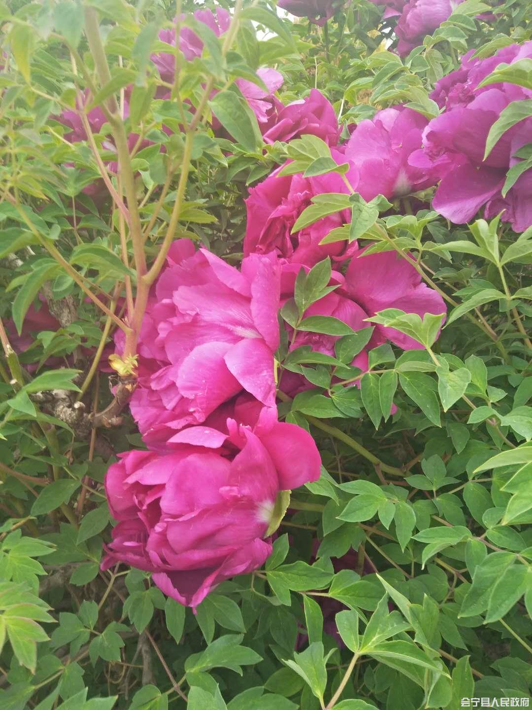 甘溝：驛路有你 熠熠生輝